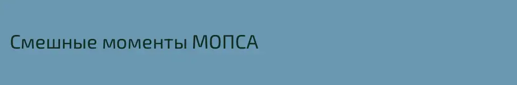 Смешные моменты МОПСА